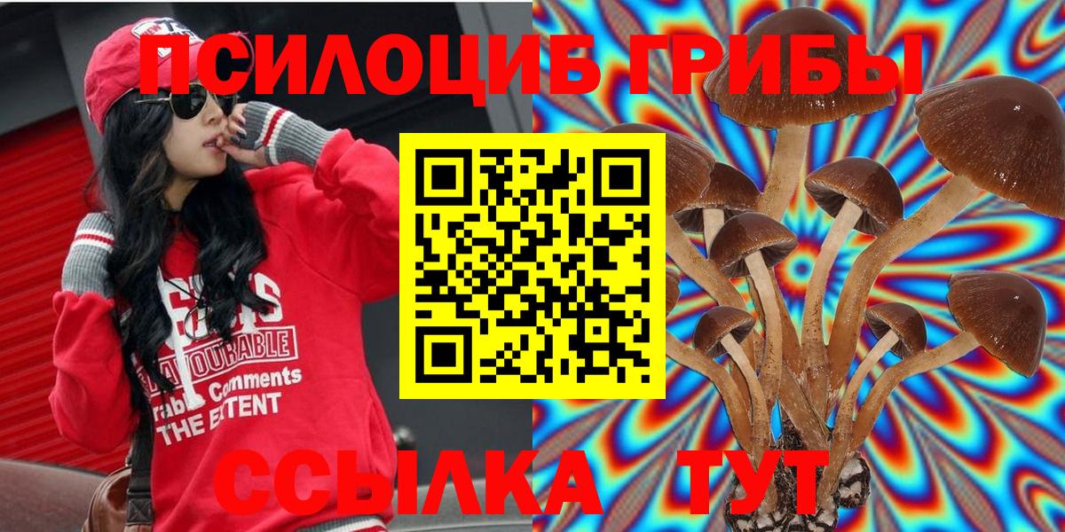 Псилоцибиновые грибы Magic Shrooms  Галлюциногенные грибы Cubensis  Вход с VPN  Советский 